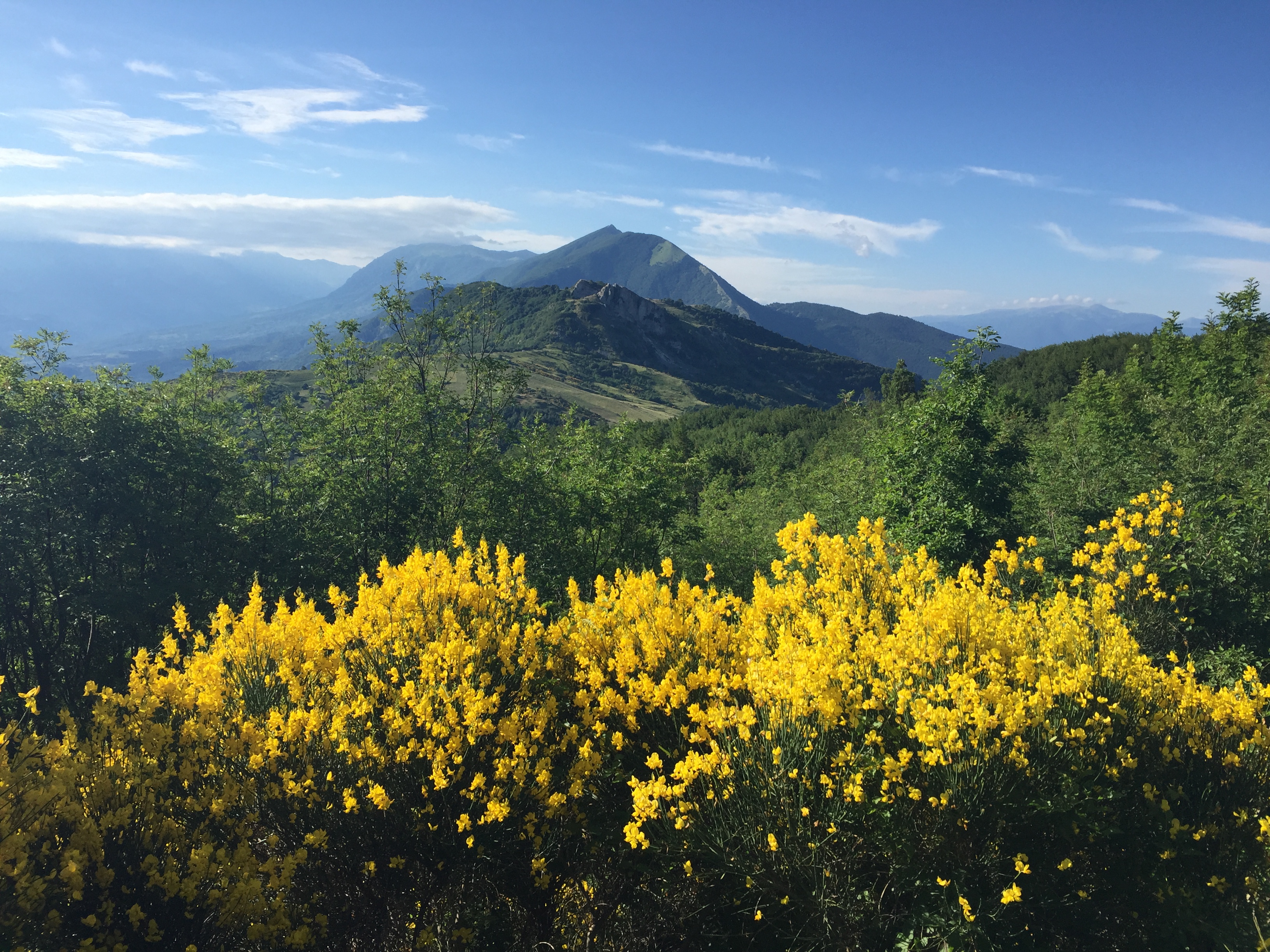 A Metaphorical Methodology: Embracing Complexity in Doctoral Artistic Research