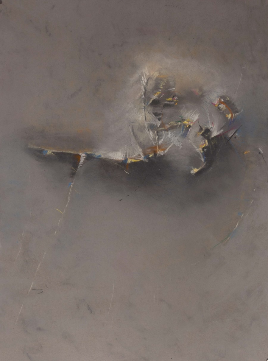 Animism: The Visual Complexity of the Physical World from Emergence to Decay