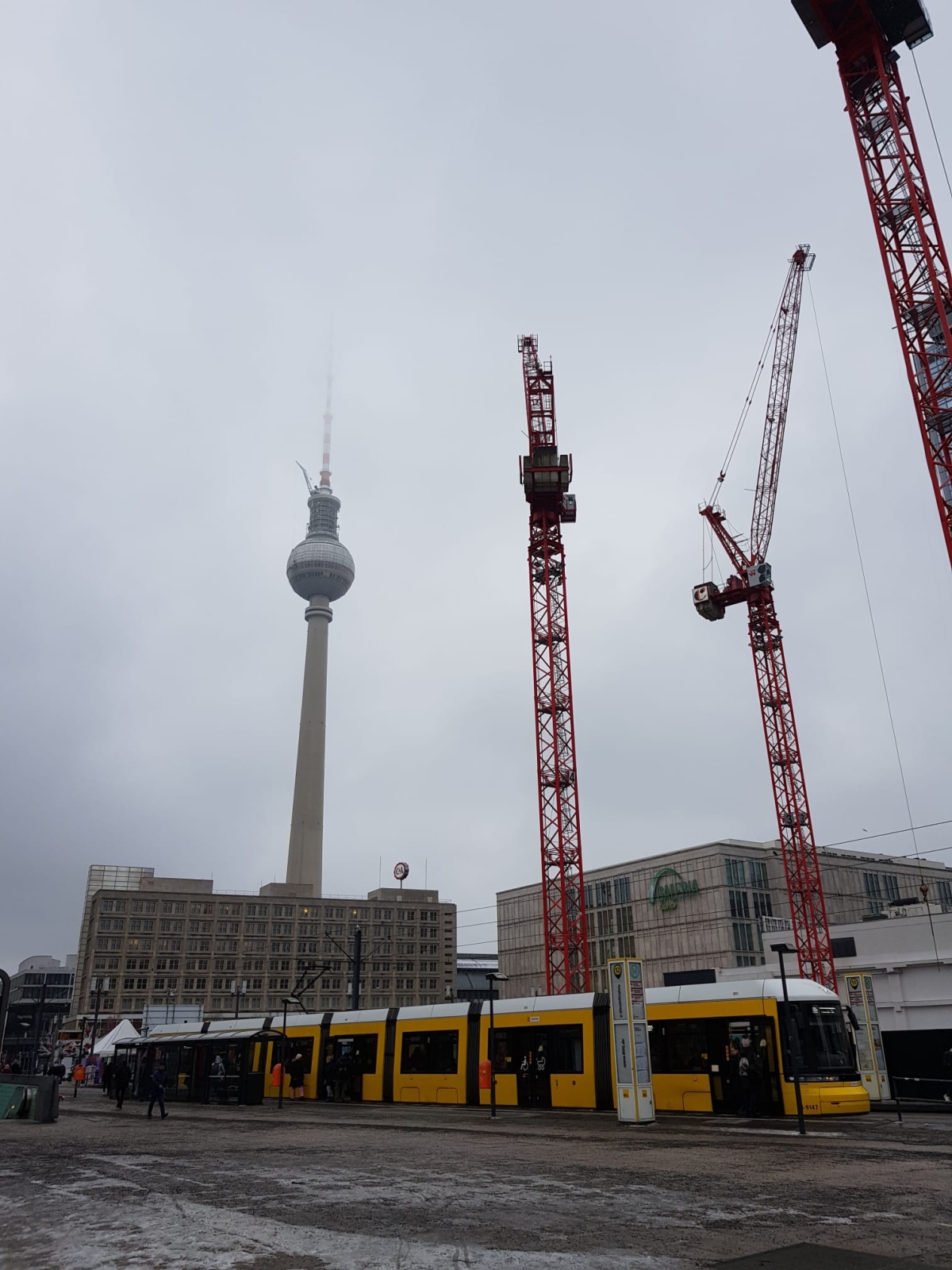 TV tower and tram