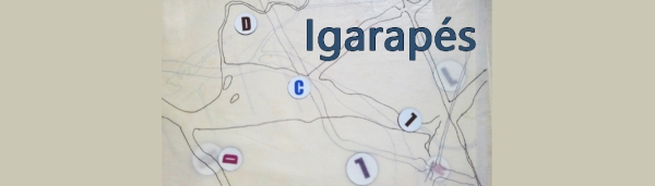 Visita canal Igarapés