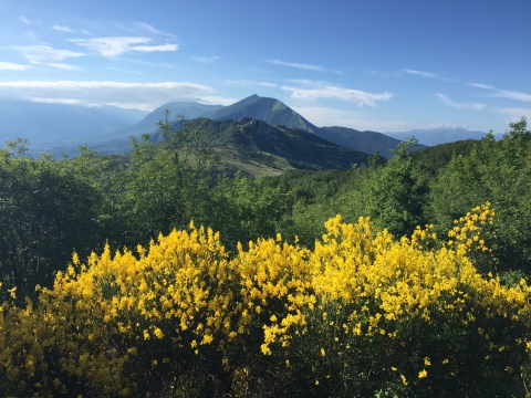 A Metaphorical Methodology: Embracing Complexity in Doctoral Artistic Research