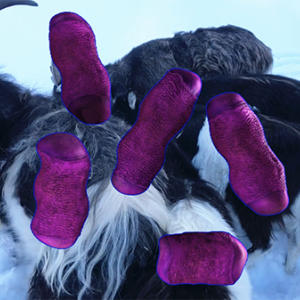 Pink microbes are floating on top of the goats in a wintery landscape.