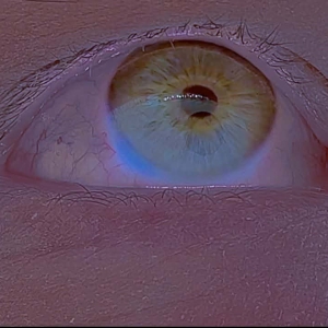 xeno/exo/astro -choreoreadings