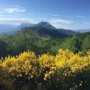 A Metaphorical Methodology: Embracing Complexity in Doctoral Artistic Research